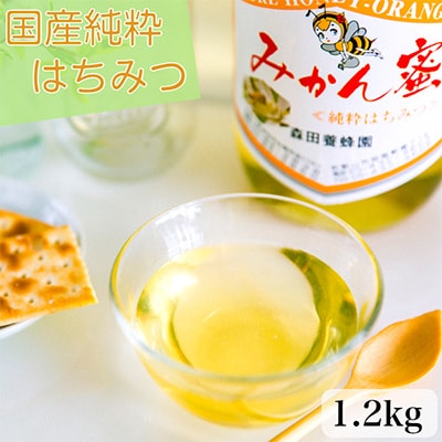 国産純粋はちみつ(みかん蜜)1.2kg×1瓶