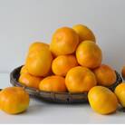 有田みかん「未来への虹」2Lサイズ　約9kg(すがい柑橘組合)