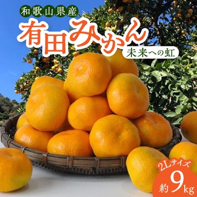 有田みかん「未来への虹」2Lサイズ　約9kg(すがい柑橘組合)