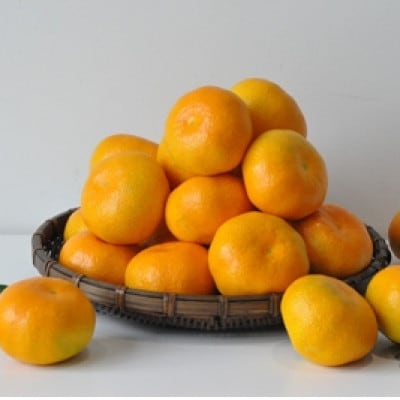 有田みかん「未来への虹」2Lサイズ　約9kg(すがい柑橘組合)