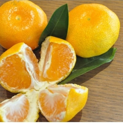 有田みかん「未来への虹」2Lサイズ　約9kg(すがい柑橘組合)