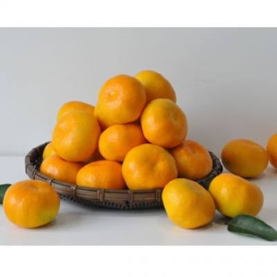 有田みかん「未来への虹」約5kg(すがい柑橘組合)