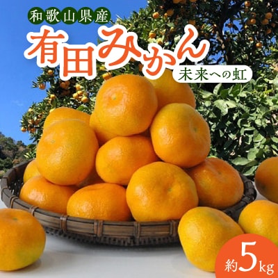 有田みかん「未来への虹」約5kg(すがい柑橘組合)