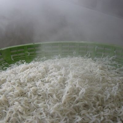 【瀬戸内海産】 嶋治水産のふんわりやわらかちりめん1kg
