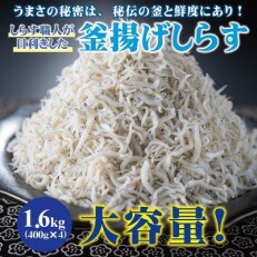 大容量!しらす職人が目利きした「釜揚げしらす」1.6kg(400g×4パック) | ふるさと納税のお礼品