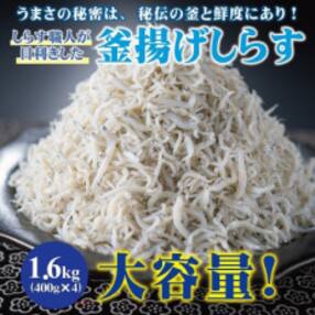 大容量!しらす職人が目利きした「釜揚げしらす」1.6kg(400g×4パック)