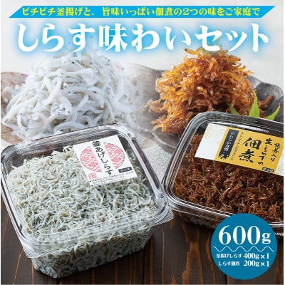 しらす味わいセット (釜あげしらす400g・しらすの佃煮200g) 600g