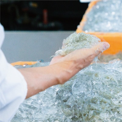 しらす職人が目利きした 「 釜揚げしらす 」 800g(400g×2パック)
