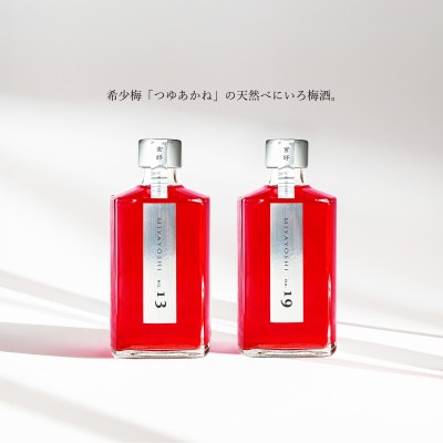 MIYAYOSHI No.13 No.19 large bottle 2P SET