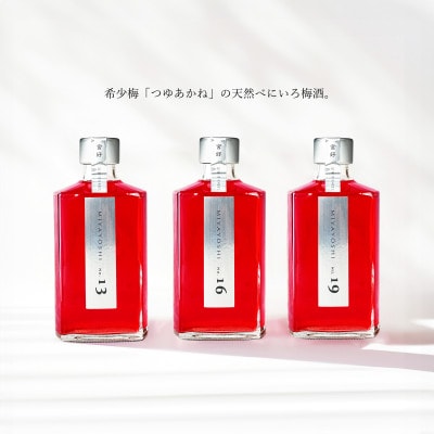 MIYAYOSHI No.13 No.16 No.19 large bottle 3P SET