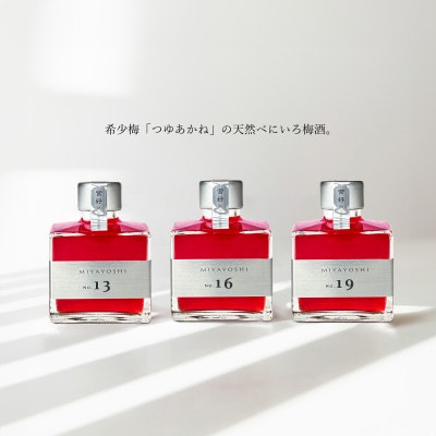 MIYAYOSHI No.13 No.16 No.19 small bottle 3P SET