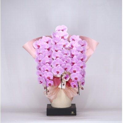 フォアスPREMIUM胡蝶蘭3本立ち45リン以上　ピンク