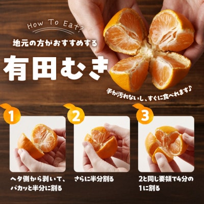 有田みかん「未来への虹」約5kg(滝勝園)