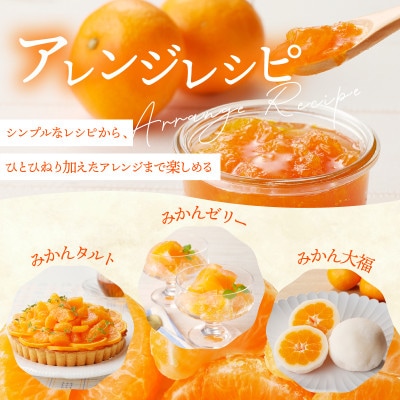 有田みかん「未来への虹」約10kg(滝勝園)