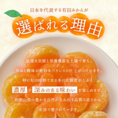 有田みかん「未来への虹」約5kg(上西農園)