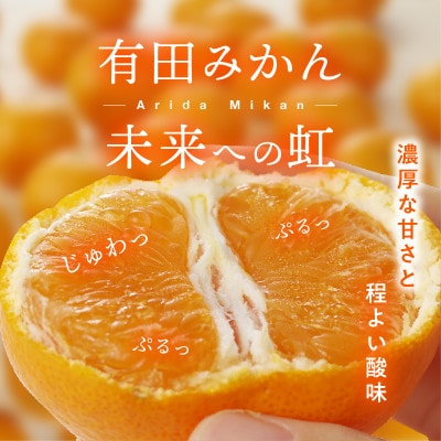 有田みかん「未来への虹」約5kg(上西農園)