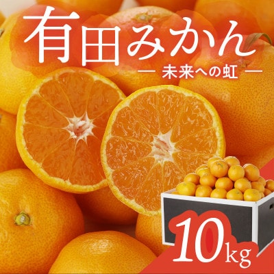 有田みかん「未来への虹」約10kg(上西農園)