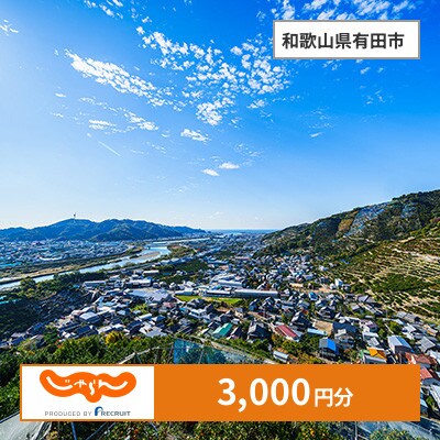 【じゃらんふるさと納税クーポン】 和歌山県有田市でつかえる3,000円 クーポン