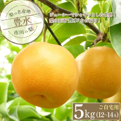 市川の梨　ご自宅用　豊水【5kg】中玉(12～14玉)　【12203-0324】