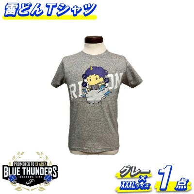 ブルーサンダース 雷どんTシャツ(カラー:グレー/サイズ:XXXL)　【12203-0209】