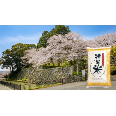 令和7年産　コシヒカリ　単一原料米　特選米　5kg