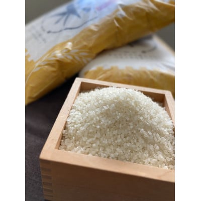 令和7年産　コシヒカリ　単一原料米　特選米　5kg