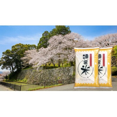 令和7年産　コシヒカリ　単一原料米　特選米　10kg