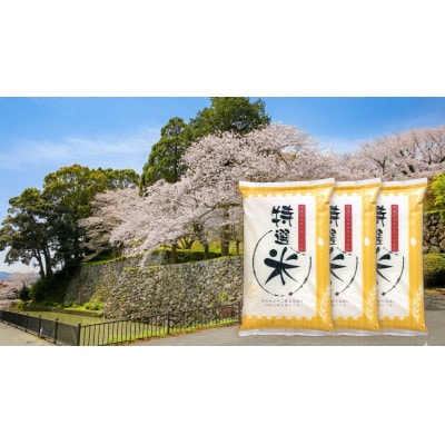 令和7年産　コシヒカリ　単一原料米　特選米　15kg