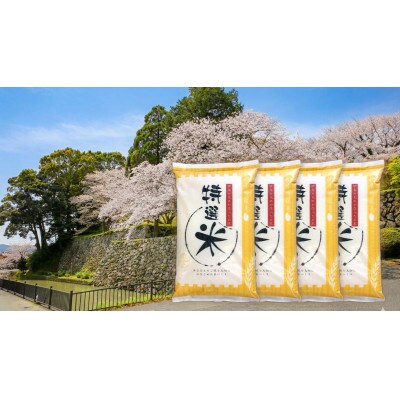 令和7年産　コシヒカリ　単一原料米　特選米　20kg