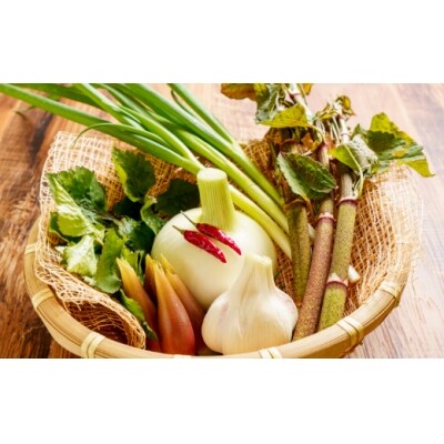 山の辣油(イタドリカツオ)6個セット