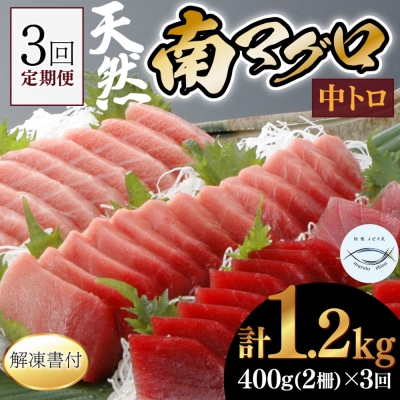 【3回定期便】天然南マグロ　中トロ　2柵　解凍書付 海鮮 魚介 鮪 惣菜 冷凍 ミナミマグロ