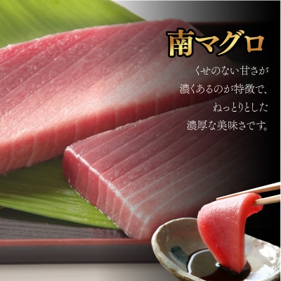 【3回定期便】天然南マグロ　中トロ　2柵　解凍書付 海鮮 魚介 鮪 惣菜 冷凍 ミナミマグロ