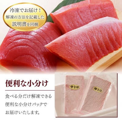 【3回定期便】天然南マグロ　中トロ　2柵　解凍書付 海鮮 魚介 鮪 惣菜 冷凍 ミナミマグロ