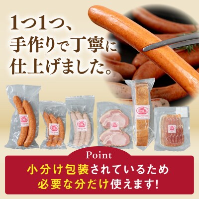 【全12回】＼DLG金賞・銀賞/糸島の陽光 ハム6種 糸島市 / 志摩スモークハウス[AOA052]