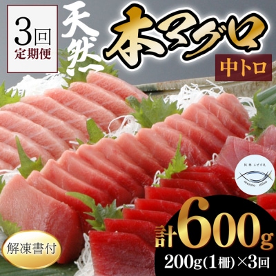 【3回定期便】天然本マグロ　中トロ　1柵　解凍書付 海鮮 魚介 鮪 惣菜 冷凍 クロマグロ まぐろ