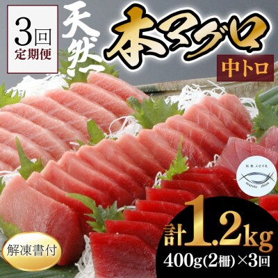 【3回定期便】天然本マグロ　中トロ　2柵　解凍書付 海鮮 魚介 鮪 惣菜 冷凍 クロマグロ まぐ