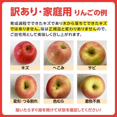 《先行受付》大江町産 家庭用サンふじ約10kg 36玉前後【11月下旬発送予定】067-001