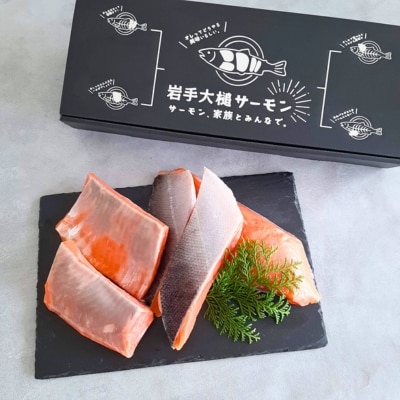 岩手大槌サーモン～家族とみんなで～ 　700g～800g