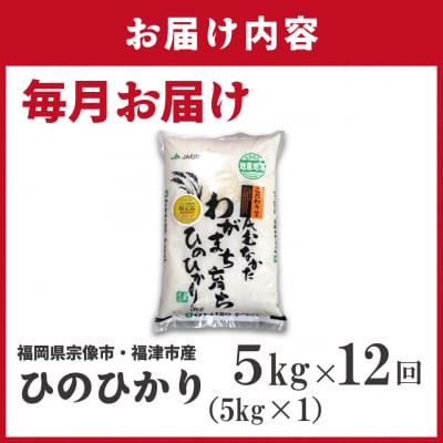 令和7年産 新米先行予約!【定期便/年12回】ひのひかり5kg【ほたるの里】_HB0197