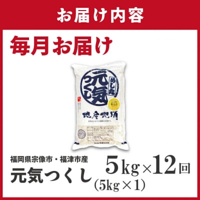 令和7年産新米先行予約!【定期便/年12回】元気つくし5kg【ほたるの里】_HB0205