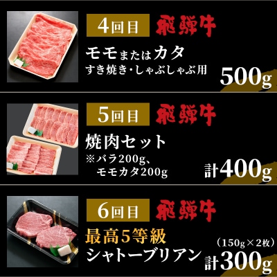 5等級シャトーブリアン入り 飛騨牛極上定期便 全6回 すき焼き しゃぶしゃぶ ステーキ 養老ミート
