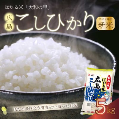 ほたる米「大和の里」広島こしひかり 5kg [066-001]