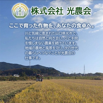 【令和8年産新米】ひとめぼれ7kg(3.5kg×2袋)【光農会】