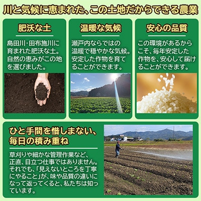 【令和8年産新米】ひとめぼれ7kg(3.5kg×2袋)【光農会】