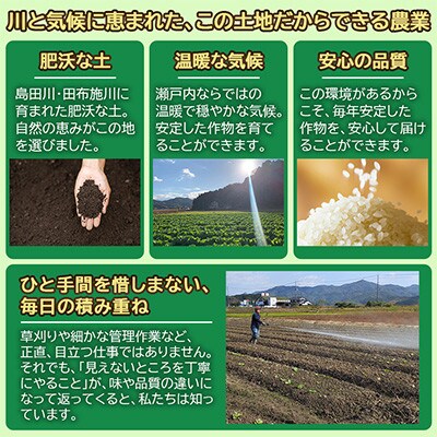 【令和8年産新米】きぬむすめ7kg(3.5kg×2袋)【光農会】