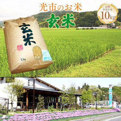 光市のお米 (玄米)10kg