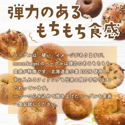 【moon bagel】もっちり美味しい　ベーグルおまかせ10個セット