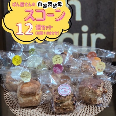 【bon clair】自家製酵母のスコーン12個セット　基本の8種とおまかせ4種をお届け!　計12個