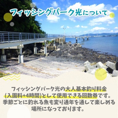 フィッシングパーク光個人つり回数券(11回分)