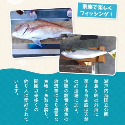 フィッシングパーク光個人つり回数券(11回分)